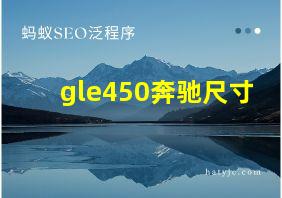 gle450奔驰尺寸