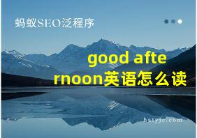 good afternoon英语怎么读