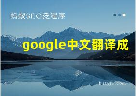 google中文翻译成