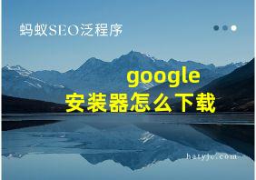 google安装器怎么下载