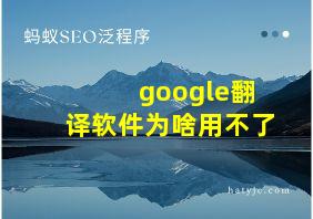 google翻译软件为啥用不了