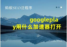 googleplay用什么加速器打开