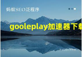 gooleplay加速器下载