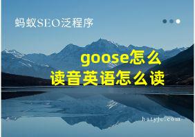 goose怎么读音英语怎么读