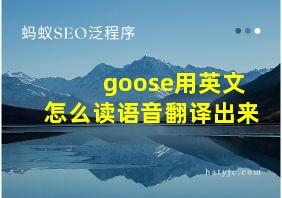 goose用英文怎么读语音翻译出来