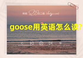 goose用英语怎么读?