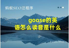 goose的英语怎么读音是什么