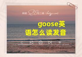 goose英语怎么读发音