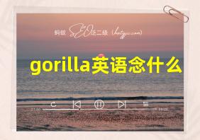 gorilla英语念什么