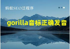 gorilla音标正确发音