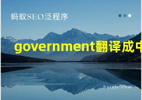 government翻译成中文