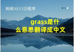 grass是什么意思翻译成中文