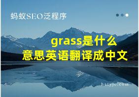 grass是什么意思英语翻译成中文