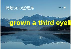 grown a third eye翻译