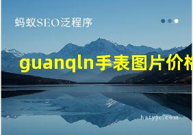 guanqln手表图片价格