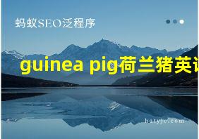 guinea pig荷兰猪英语