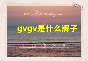 gvgv是什么牌子