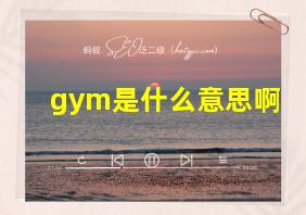 gym是什么意思啊