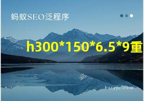 h300*150*6.5*9重量