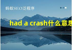 had a crash什么意思