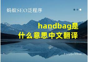 handbag是什么意思中文翻译