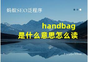 handbag是什么意思怎么读