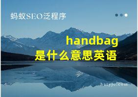 handbag是什么意思英语