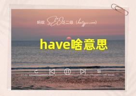 have啥意思