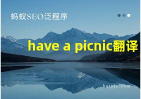 have a picnic翻译