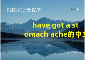 have got a stomach ache的中文