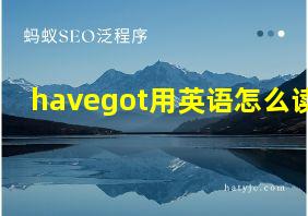 havegot用英语怎么读