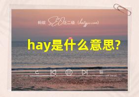 hay是什么意思?