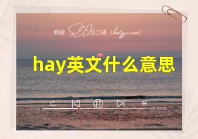 hay英文什么意思