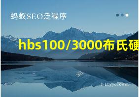 hbs100/3000布氏硬度