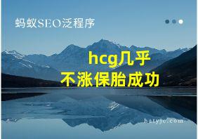 hcg几乎不涨保胎成功