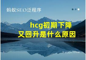 hcg初期下降又回升是什么原因