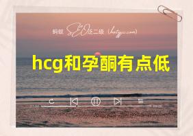 hcg和孕酮有点低