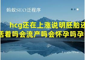 hcg还在上涨说明胚胎还活着吗会流产吗会怀孕吗孕妇