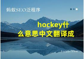 hockey什么意思中文翻译成