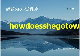 howdoesshegotowork翻译