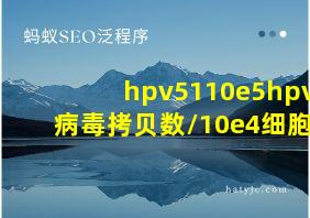 hpv5110e5hpv病毒拷贝数/10e4细胞