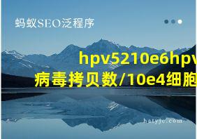 hpv5210e6hpv病毒拷贝数/10e4细胞