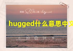 hugged什么意思中文