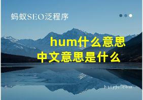 hum什么意思中文意思是什么