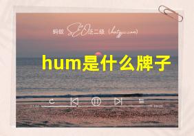 hum是什么牌子