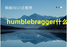 humblebragger什么意思