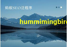 hummimingbird