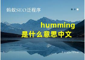 humming是什么意思中文