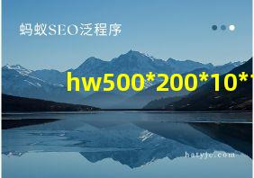 hw500*200*10*16