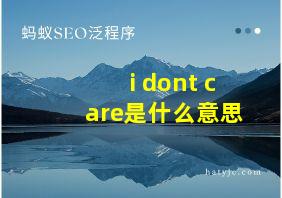 i dont care是什么意思